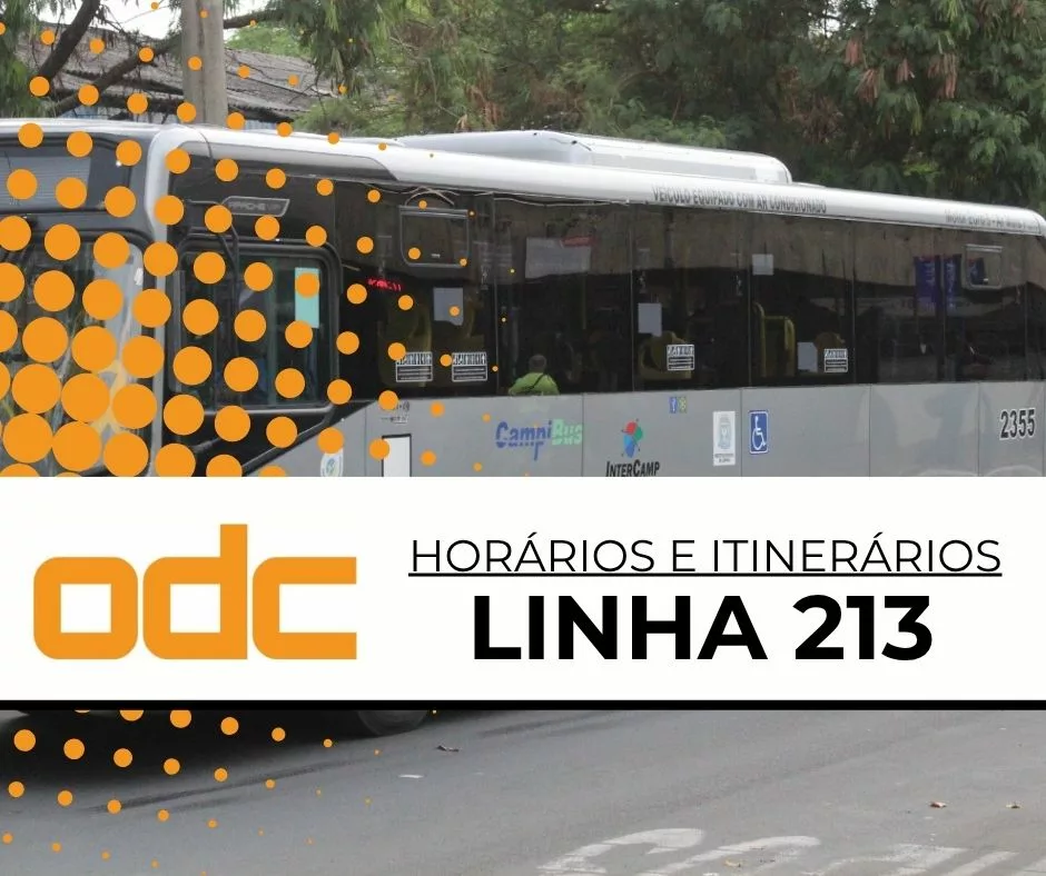 213 – Terminal Itajaí / Terminal Metropolitano via Term. Campo Grande