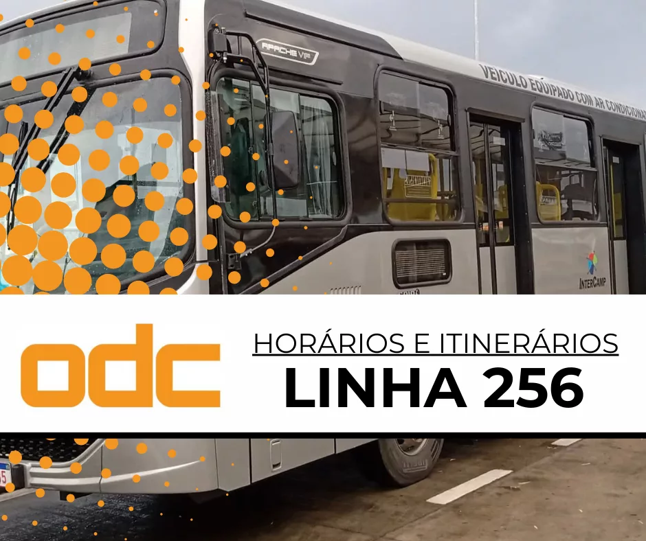 256 – Parque Fazendinha / Terminal Mercado I