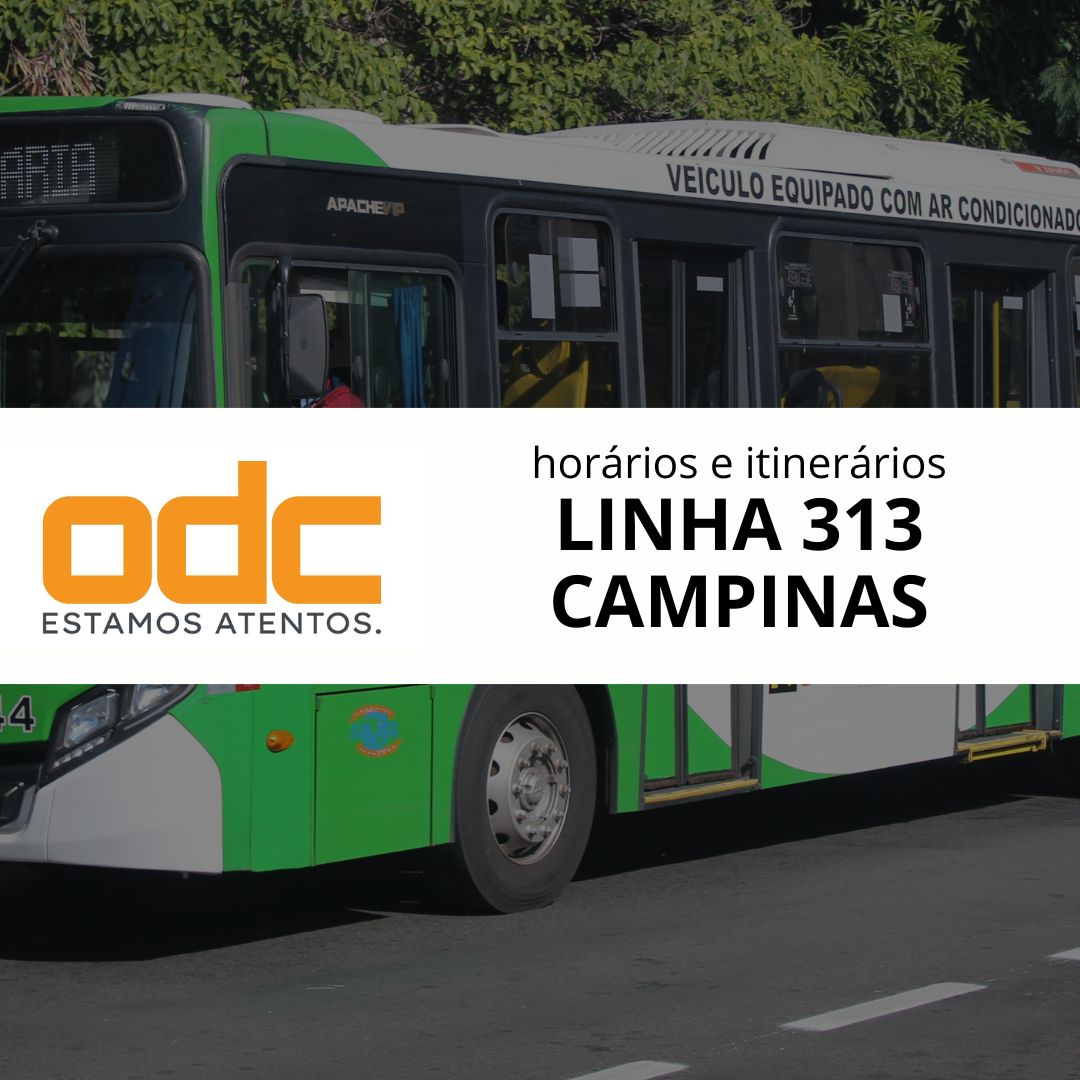 313 – CDHU Amarais até Technopark / Corredor Central