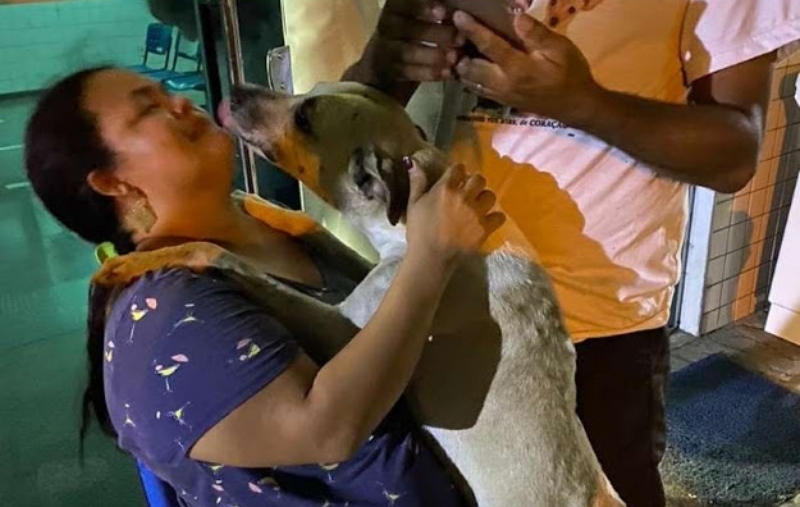  Cachorro que consolou mulher que havia acabado de perder a mãe é adotado
