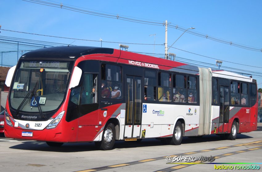 Prefeitura finalmente define as linhas em que vão circular os ônibus articulados da Expresso Campibus
