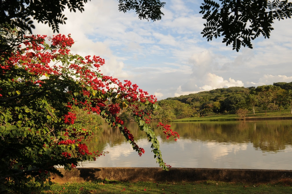 Chegaram as férias escolares! Confira todos os bosques e parques de Campinas