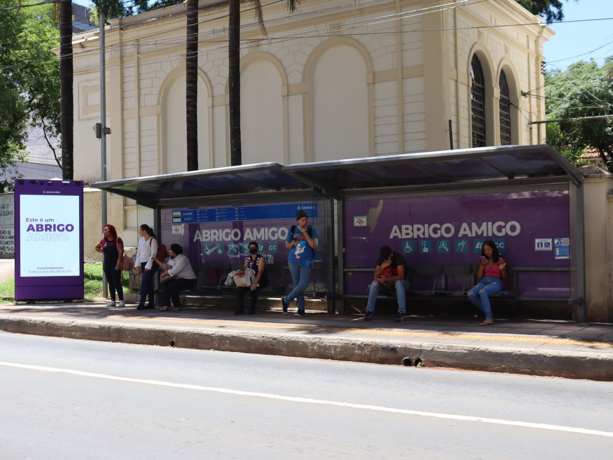 Abrigo Amigo faz um ano em Campinas com mais de 1100 chamadas