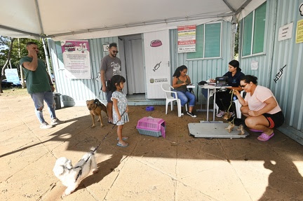 Consultórios Veterinários Móveis começam a atender no São Bernardo e no Capivari em Campinas