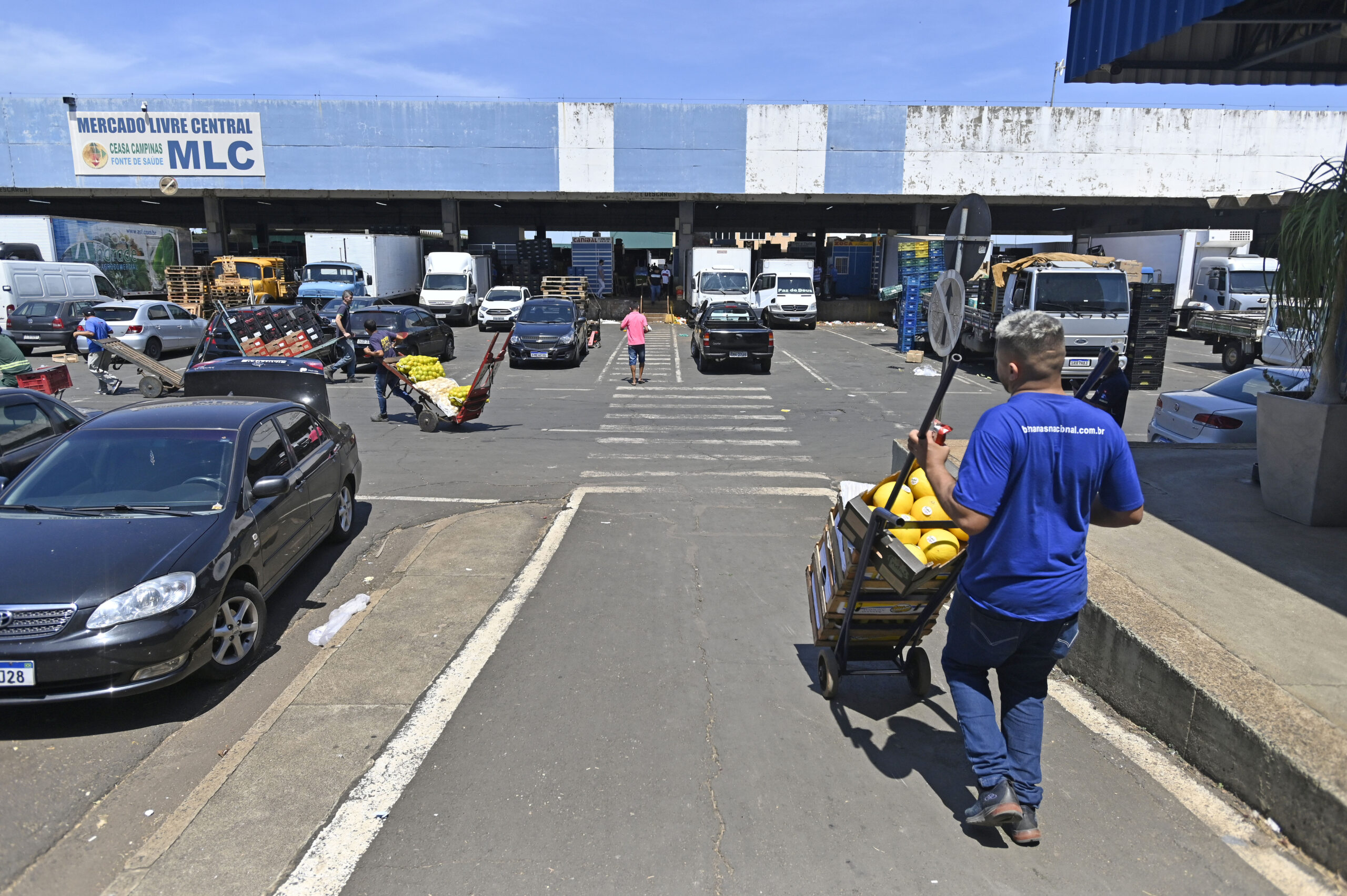 Ceasa abre licitação para construção de três novos galpões comerciais