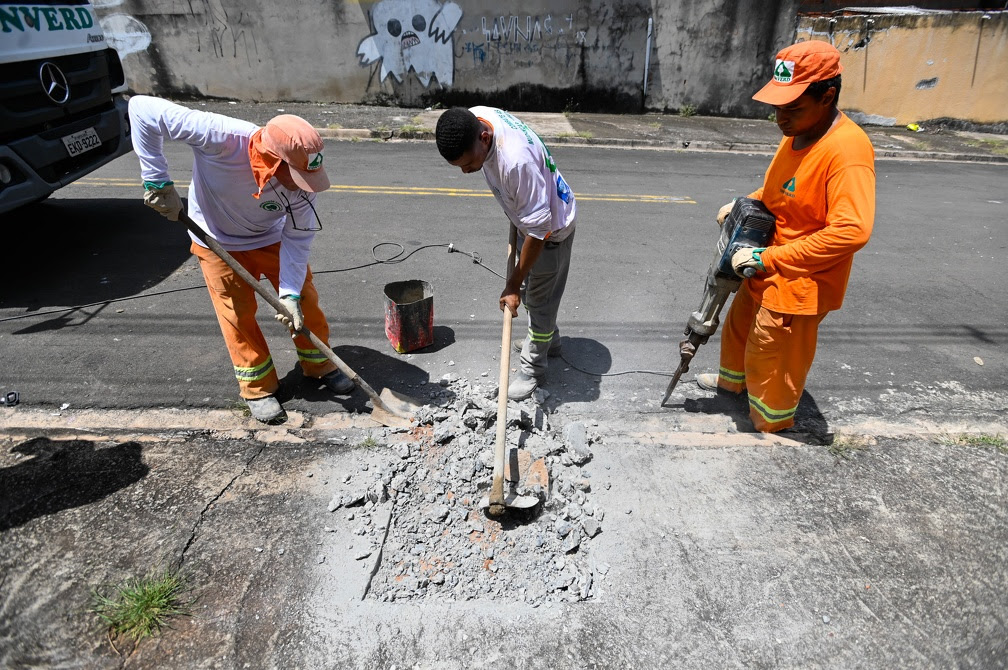 Campo Grande deverá ganhar até 5 mil novas árvores em programa de arborização