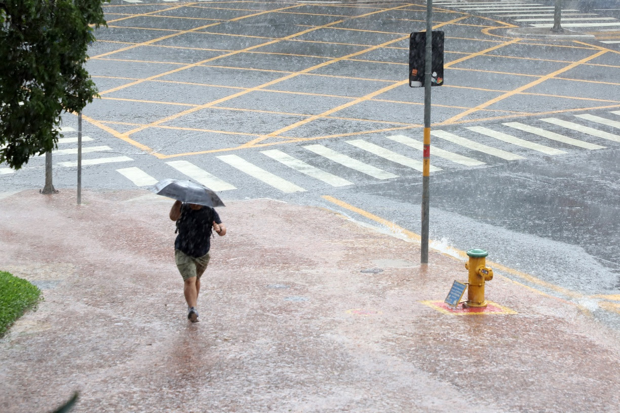 Forte chuva na semana passada derrubou 15 árvores em Campinas