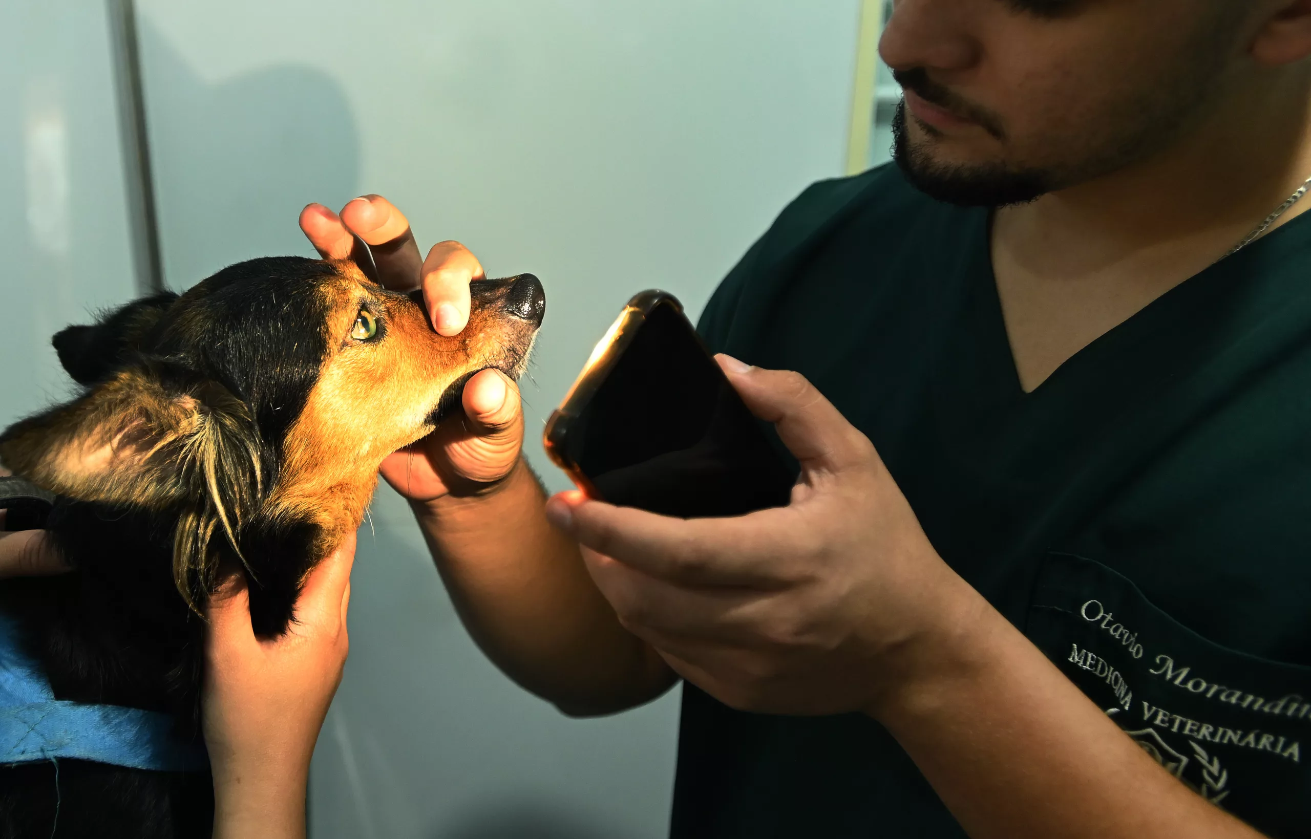 Unidade Veterinária Móvel inicia atendimento no Parque Taquaral em Campinas