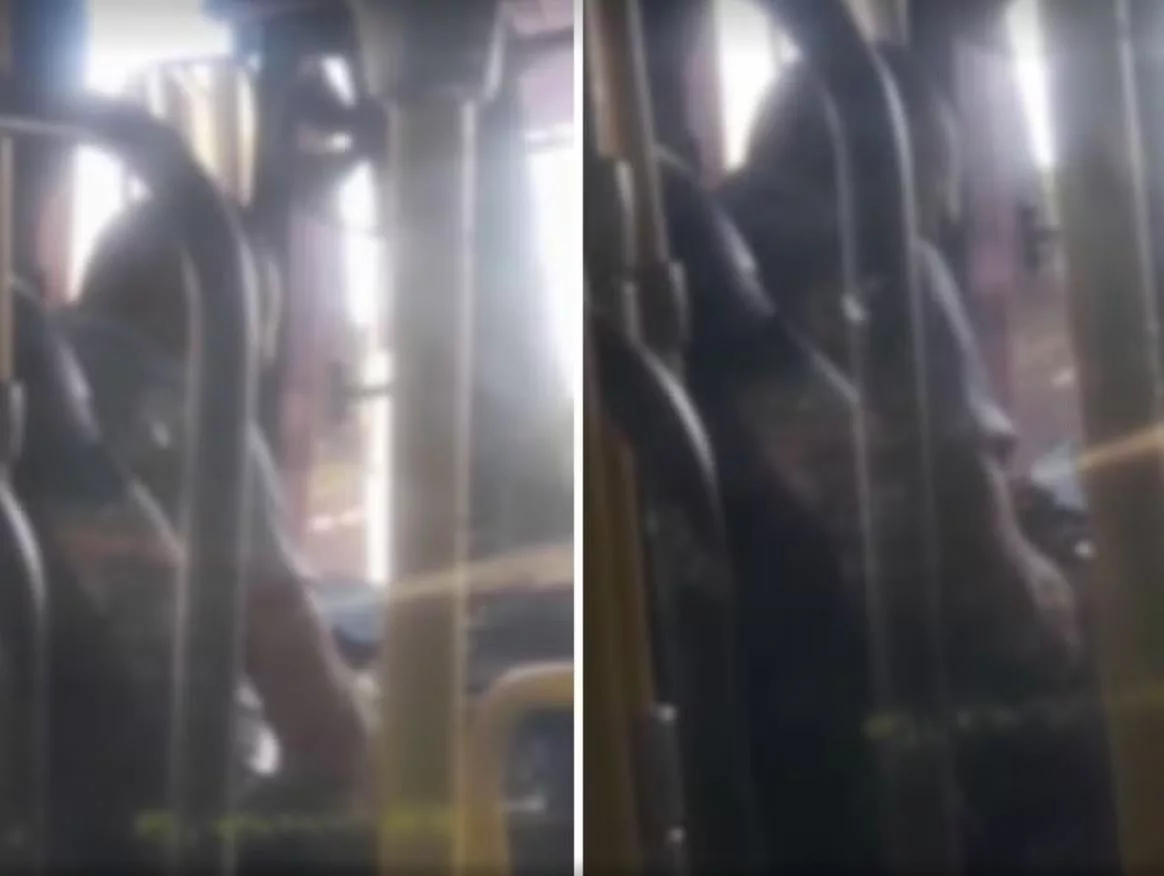 Populares gravam motorista da linha 244 cometendo ato obsceno dentro do ônibus em Campinas
