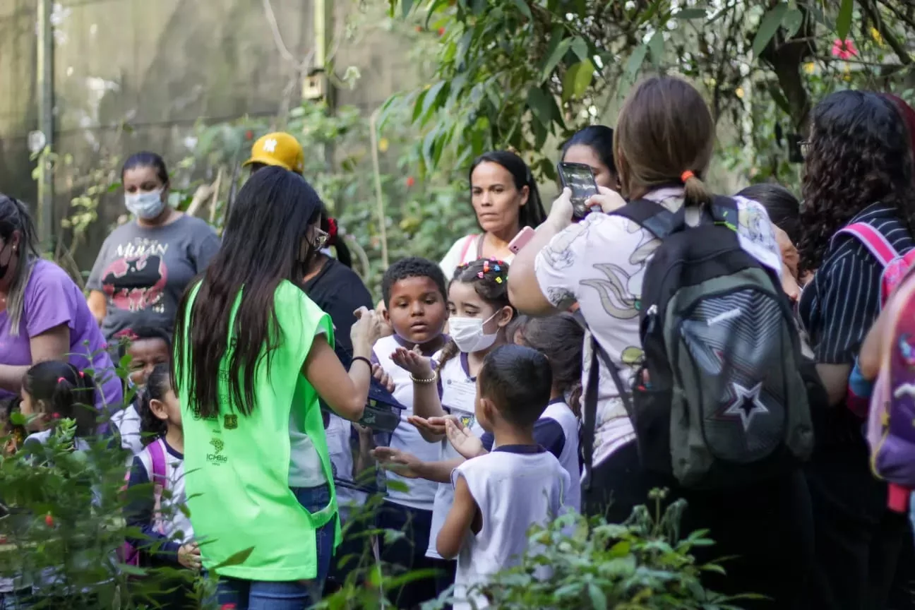 Abertas inscrições para visitas monitoradas à Mata Santa Genebra em Campinas