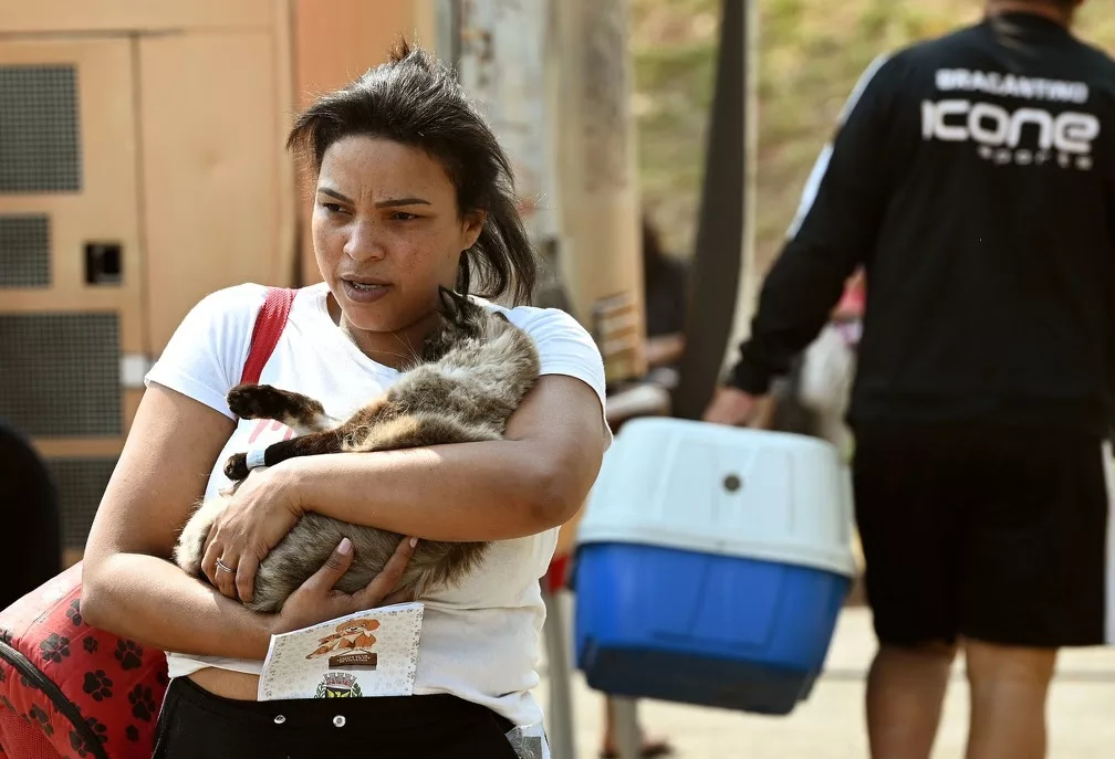 Distrito de Sousas recebe carreta do Consultório Veterinário Móvel