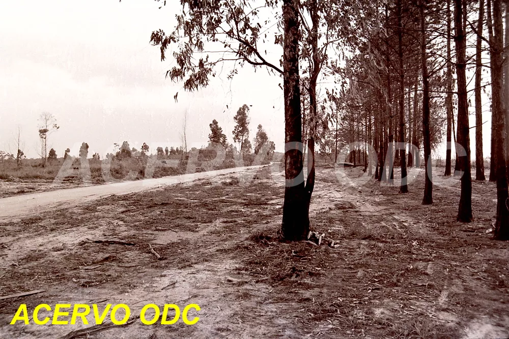 História dos transportes no Distrito de Nova Aparecida (Capítulo 4)