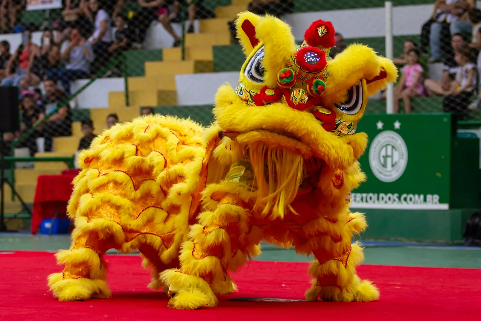 Shoppings de Campinas recebem atividades culturais chinesas
