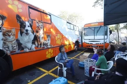 Doze bairros de Campinas recebem agendamento para castração gratuita de cães e gatos; Veja lista