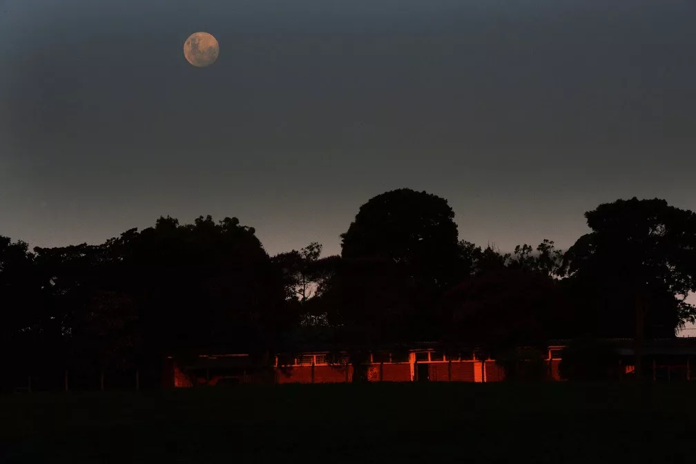 Abertas inscrições para mais uma visita noturna na Mata Santa Genebra em Campinas