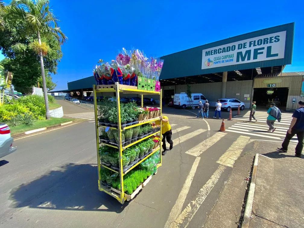 Ceasa Campinas terá exposição de carros antigos e show musical neste final de semana