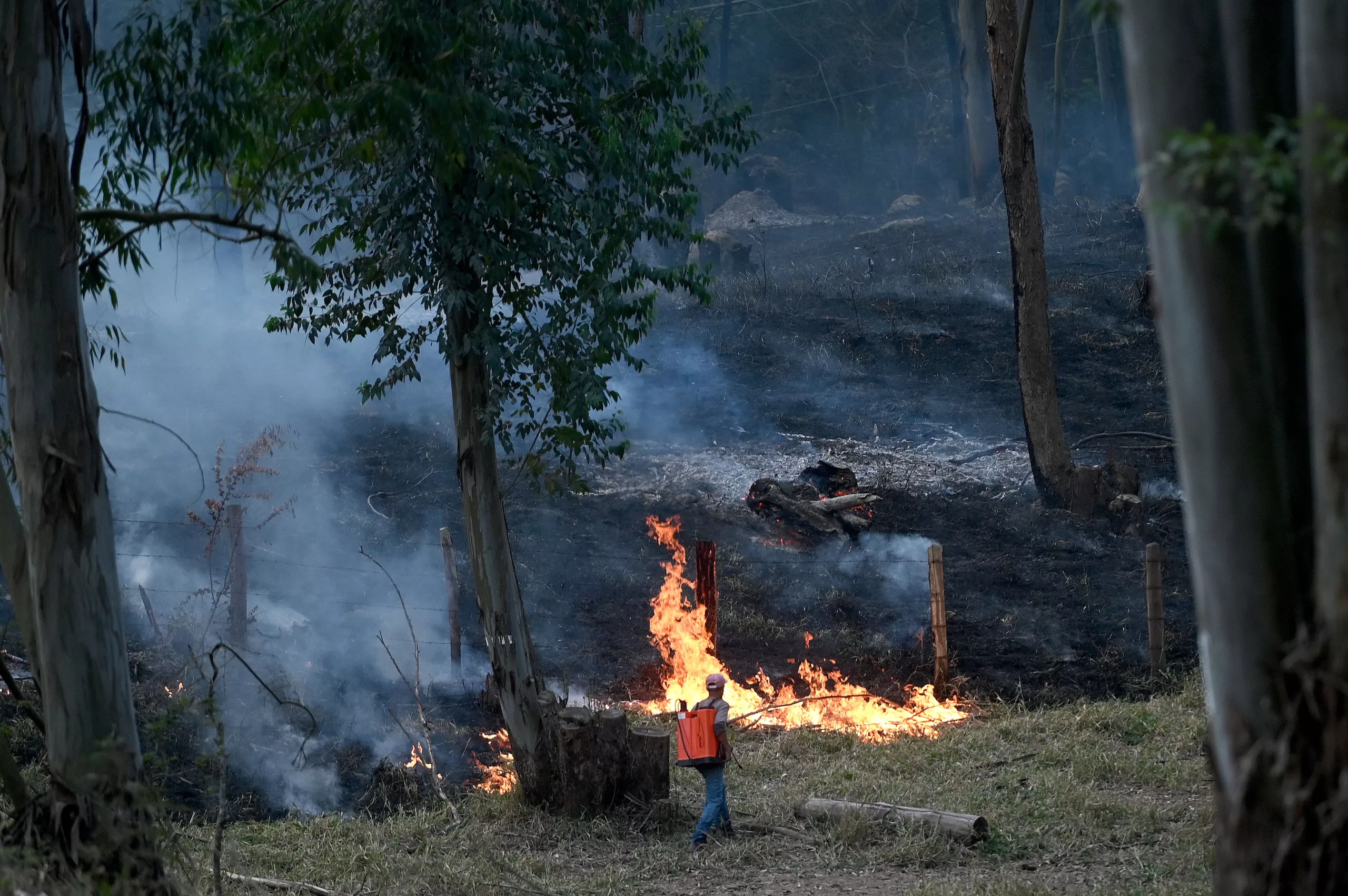 Baixa umidade e altas temperaturas colocam Campinas sob risco de incêndios