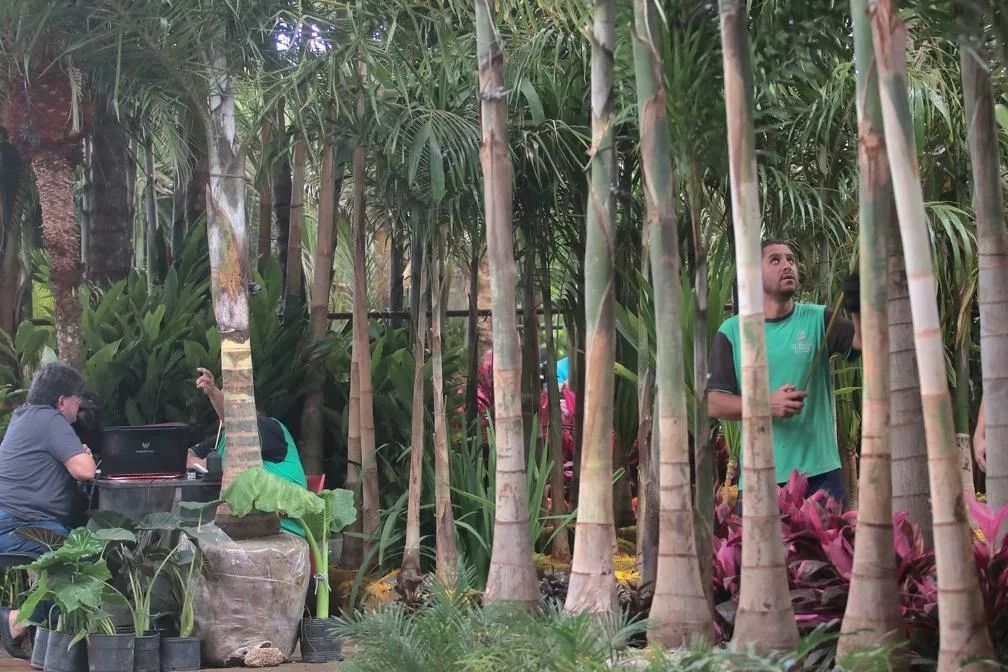 Propostas para ocupação do Mercado de Flores do Ceasa Campinas são recebidas até esta quinta, 16/10