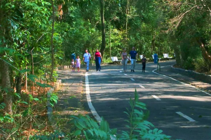 Campinas fecha parques e bosques por conta das chuvas fortes; Cambuí tem desvio