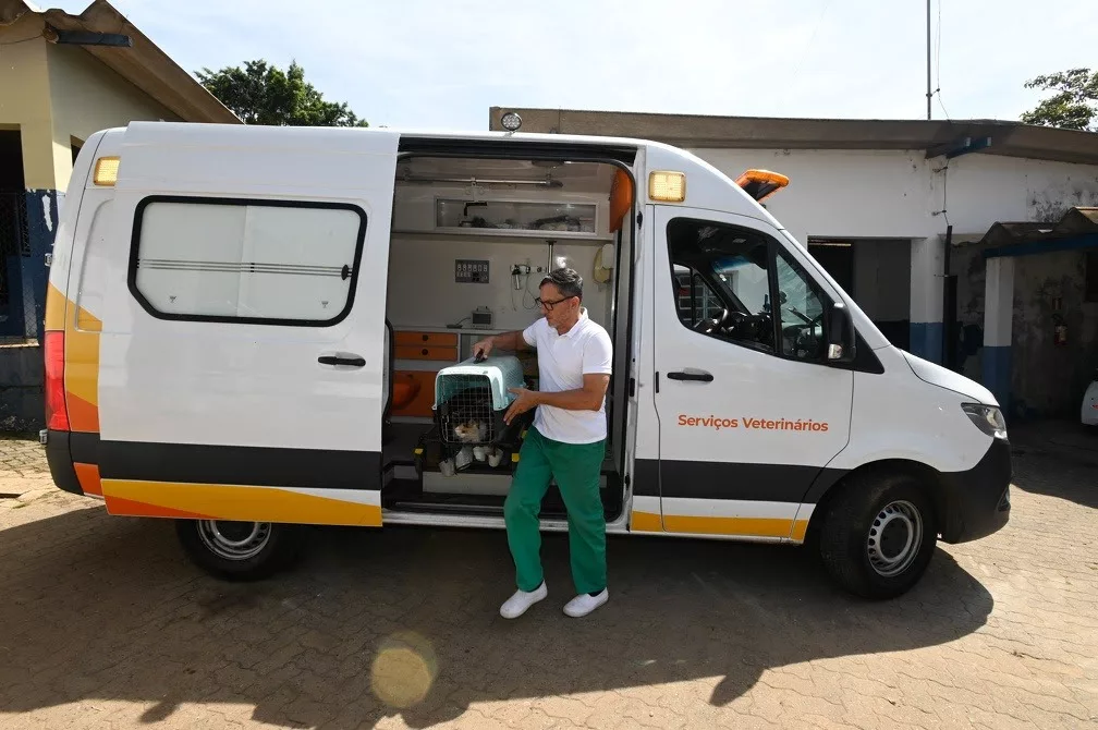 Campanha Abril Laranja conscientiza população contra a crueldade animal